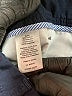 Talbots Stars Blue Shorts Size 8 - photo 4