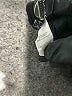 Express Paisley Black Cocktail Dress Size S - photo 8