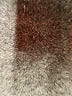 Erika Blue Jeggings Size L - photo 5
