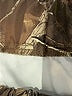 Unbranded 100% Polyester Camo Gold Snow Pants With Bib Size 11 - photo 3