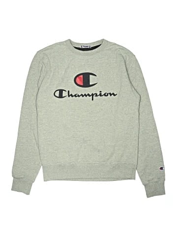 Champion Sweatshirt (view 1)