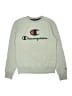 Champion Gray Sweatshirt Size S (youth) - photo 1