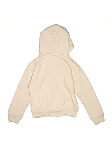 Champion Pullover Hoodie (view 2)