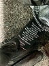 Sanctuary Houndstooth Gray Dress Pants Size M (estimated) - photo 9
