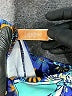 Lularoe Print Blue Active Pants Size S (kids) - photo 3