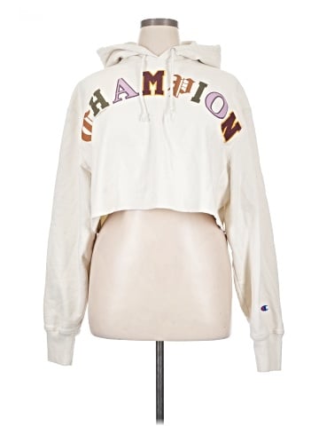 Champion Pullover Hoodie (view 1)