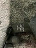 Context 100% Cotton Black Cargo Pants Size 10 - photo 5