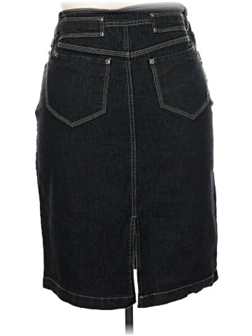 Venezia Denim Skirt (view 2)