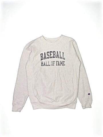 Champion Sweatshirt (view 1)
