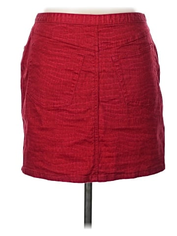 Express Denim Skirt (view 2)