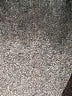 Primark Solid Tan Cargo Pants Size 10 - 11 - photo 4
