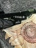 Torrid Black Short Sleeve Blouse Size 1X Plus (1) - photo 7