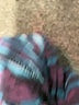 Tucker Print Teal Casual Dress Size M - photo 8