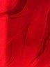 Lauren Alexandra Red Formal Skirt Size 14 - photo 6