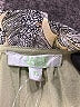 Jade 100% Polyester Paisley Gray Casual Dress Size XS - photo 4