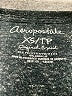 Aeropostale Silver Tank Top Size XS - photo 7