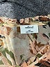 Wilfred 100% Polyester Brown Long Sleeve Blouse Size XXS - photo 7