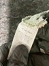 Hello Miz Floral Green Casual Dress Size Med Maternity - photo 7