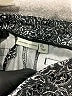 Adrienne Vittadini Print Gray Active Pants Size 6 - photo 7