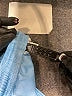 Adidas Solid Blue Athletic Shorts Size 5 - 6 - photo 3