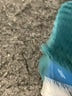 Old Navy Solid Teal Athletic Shorts Size 3X - photo 3