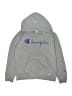 Champion Gray Pullover Hoodie Size M (youth) - photo 1