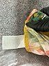 Derek Heart Tropical Yellow Shorts Size L - photo 4