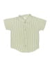 Cachcach Stripes Green Short Sleeve Button-Down Shirt 18-24 MO / 24 MO - photo 1