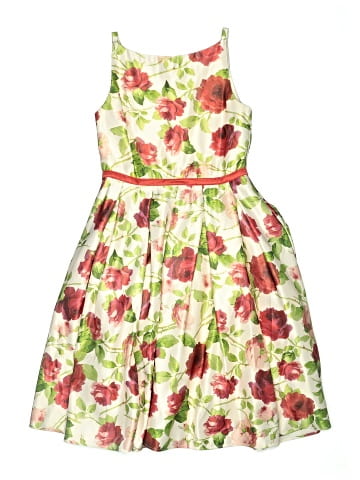 Monsoon Dress (view 1)