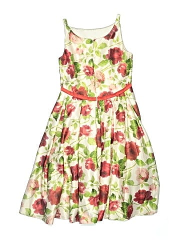 Monsoon Dress (view 2)