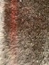 Victoria's Secret Pink Blue Active Pants Size XL - photo 5