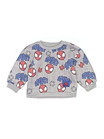Spiderman Sweatshirt (view 1)
