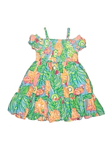 C&C California Dress (view 2)