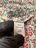 Max Studio 100% Polyester Ivory Short Sleeve Blouse Size 3X - photo 8
