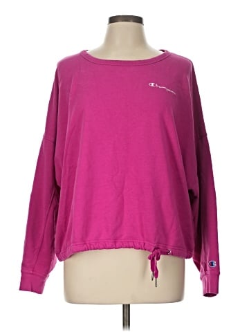 Champion Sweatshirt (view 1)