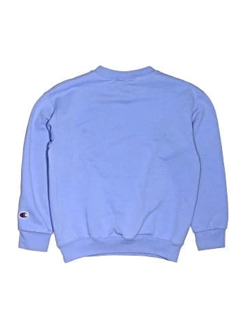 Champion Sweatshirt (view 2)