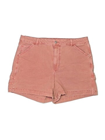 American Eagle Outfitters Shorts (view 1)