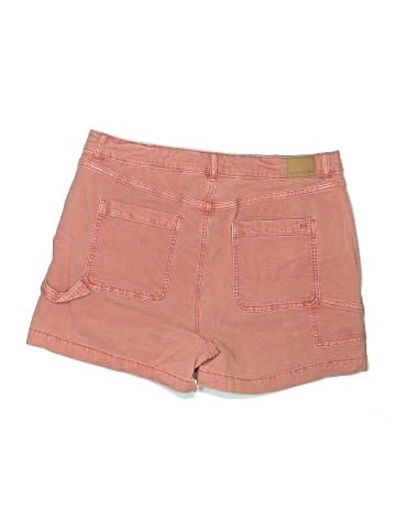 American Eagle Outfitters Shorts (view 2)