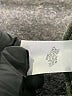 J.Jill Solid Green Casual Pants Size Lg Petite - photo 8
