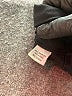 Splits 59 Black Active Pants Size S - photo 8