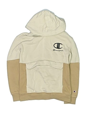 Champion Pullover Hoodie (view 1)