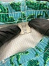Baby Gap Green Rash Guard Size 4T - photo 3