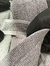 colsie Gray Sweatpants Size S - photo 5