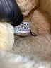 Ugg Australia 100% Leather Solid Brown Boots Size 6 - photo 4