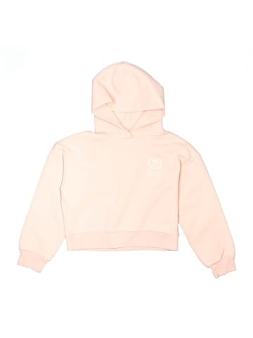 Uniqlo Pullover Hoodie (view 1)