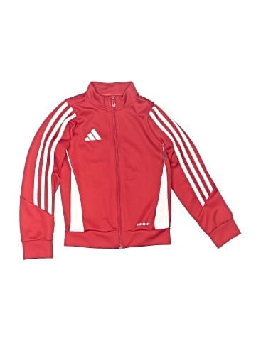 Adidas Sweatshirt (view 1)