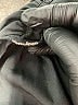 Entro Black Casual Dress Size S - photo 8