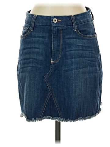 Arizona Jean Company Denim Skirt (view 1)