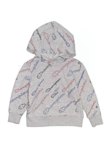 Champion Pullover Hoodie (view 1)