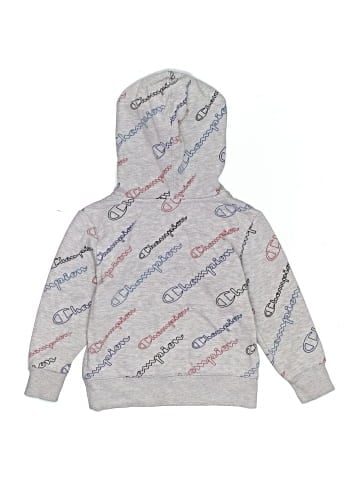 Champion Pullover Hoodie (view 2)